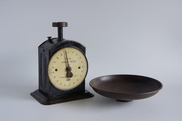 SALTER No.48 FAMILY SCALE