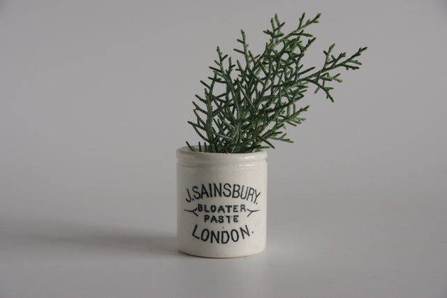 Sainsbury's ペーストポット