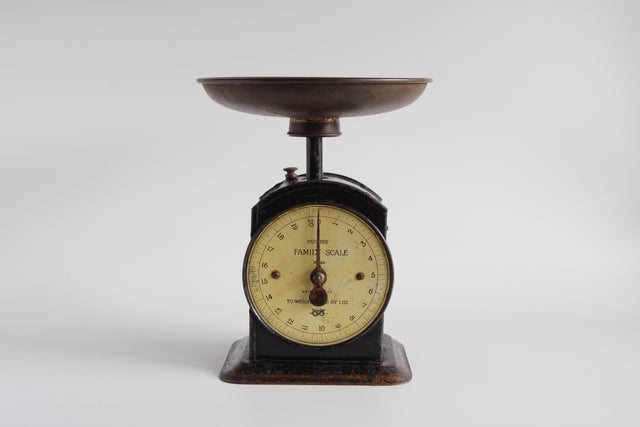 SALTER No.48 FAMILY SCALE