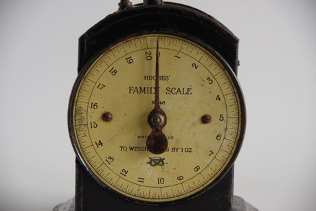SALTER No.48 FAMILY SCALE