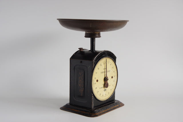 SALTER No.48 FAMILY SCALE