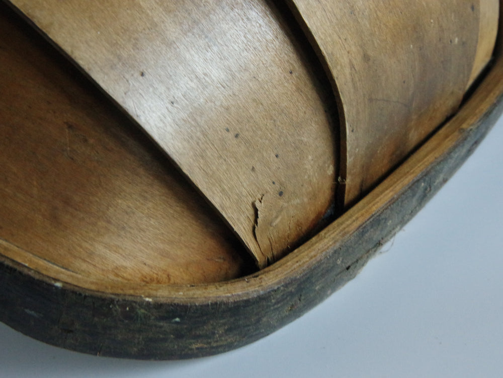 ガーデントラッグ（大）